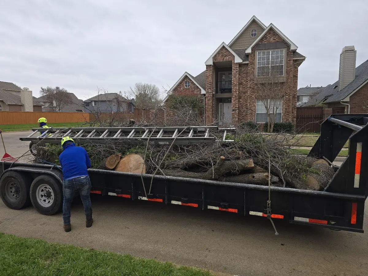 Expert Lot Clearing with proper safety equipment in Cummings